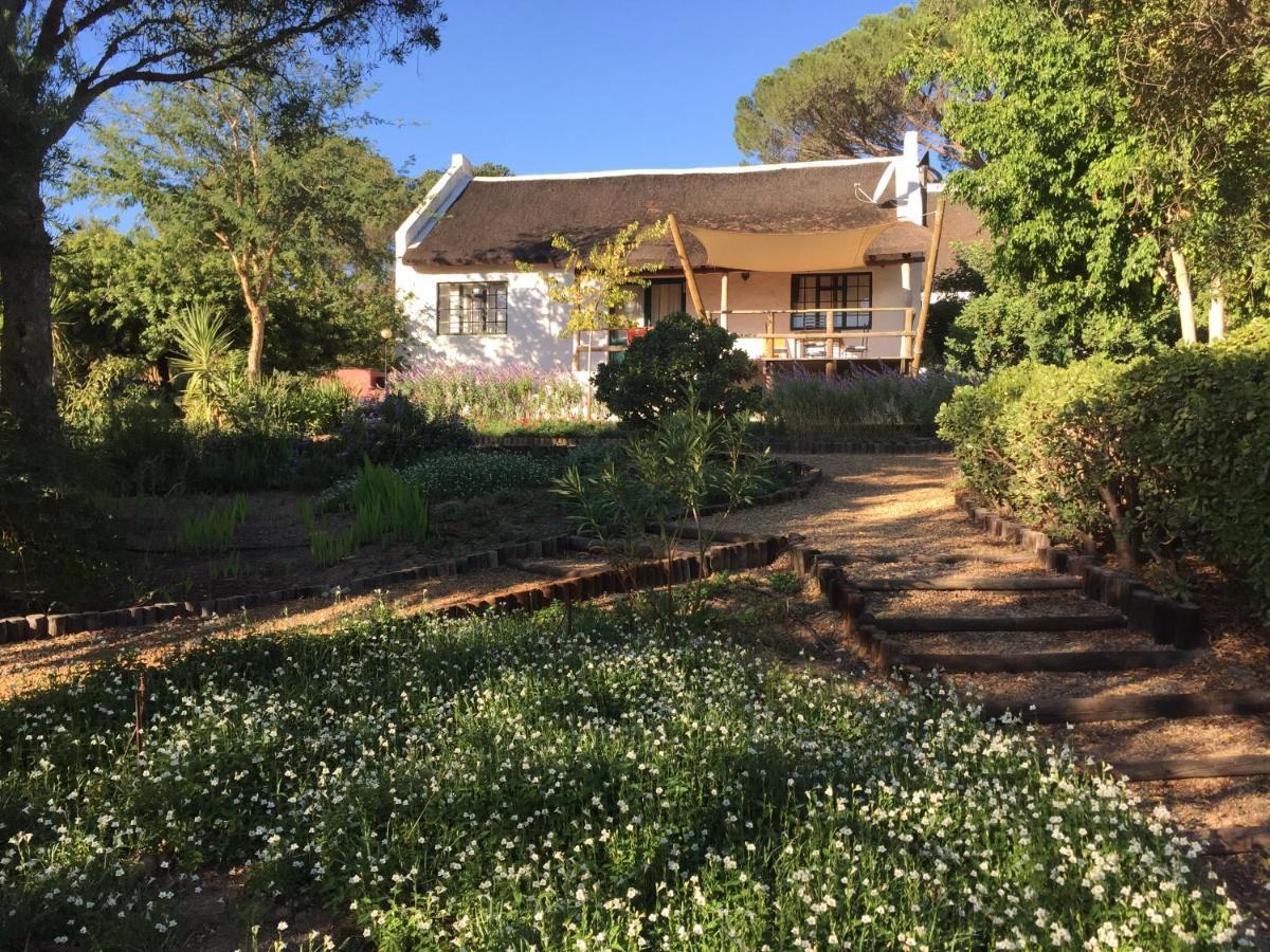 Mooi Bly Villa Paarl Bagian luar foto