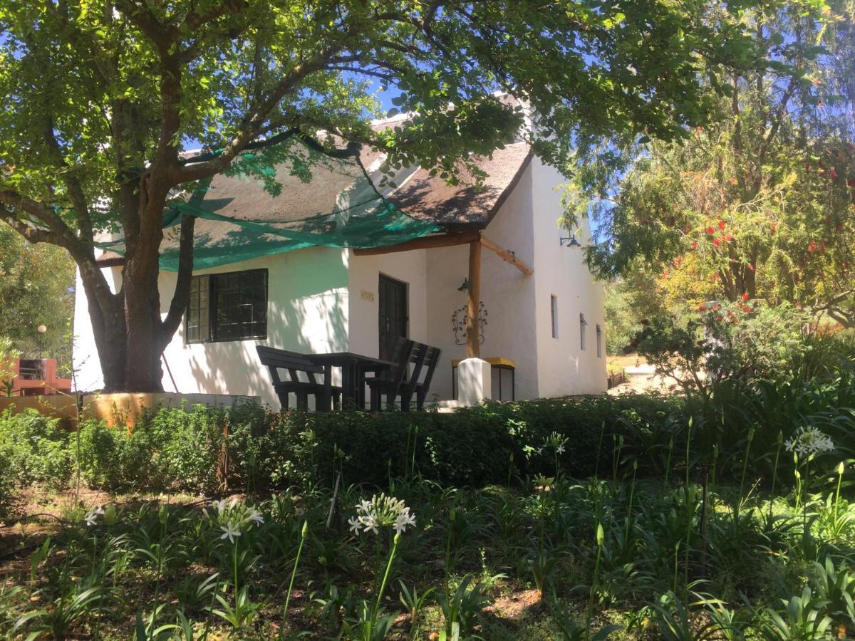 Mooi Bly Villa Paarl Bagian luar foto