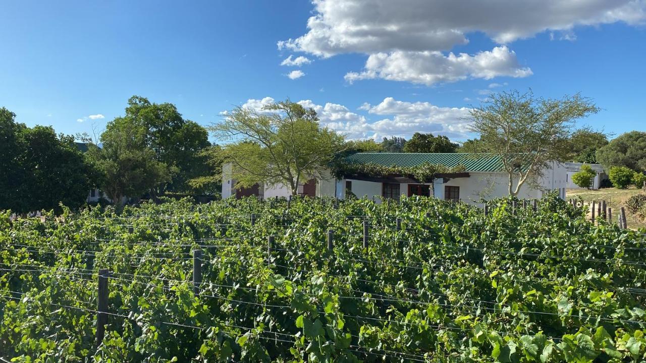 Mooi Bly Villa Paarl Bagian luar foto