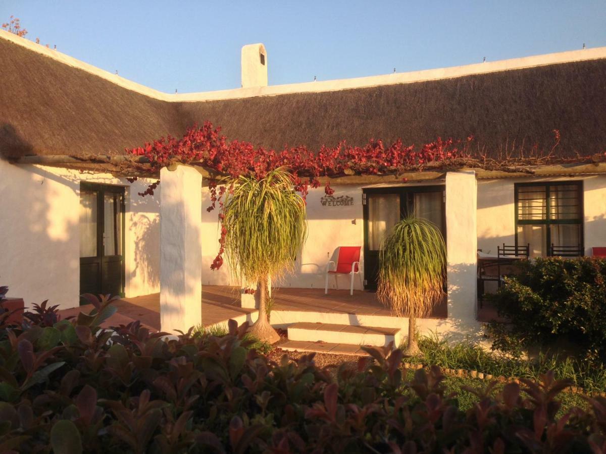 Mooi Bly Villa Paarl Bagian luar foto