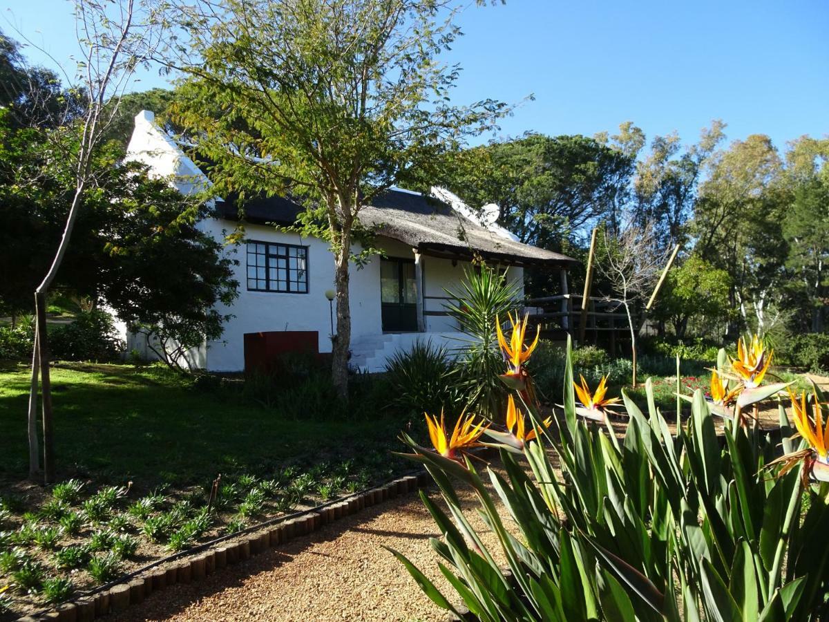 Mooi Bly Villa Paarl Bagian luar foto