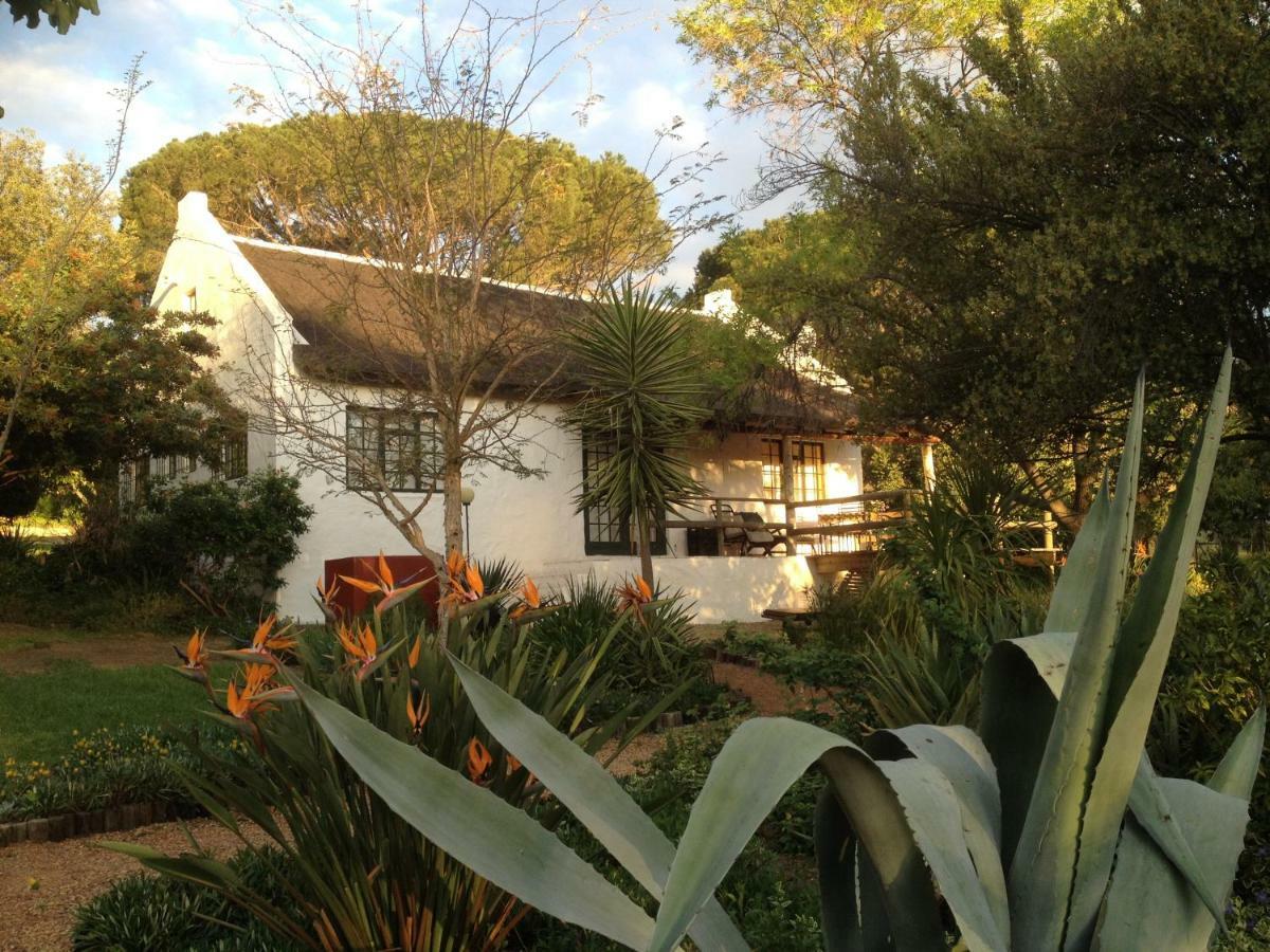 Mooi Bly Villa Paarl Bagian luar foto